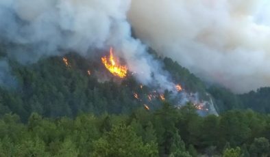 Manisa ve Kütahya’da Orman Yangını…