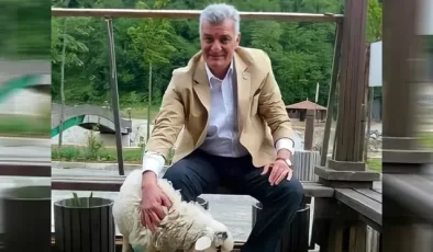 Süleyman Soylu’nun Kuzeni Sefa Dönmez Öldürüldü…