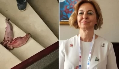 Prof. Dr. Esin Davutoğlu Şenol’un Kapısına Dana Dili Attılar!