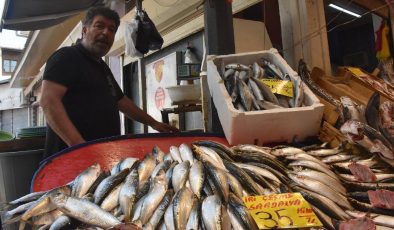 Yeni Av Sezonu Balık Fiyatlarını Yarı Yarıya Düşürdü…