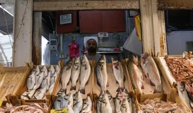 Balık Fiyatları…