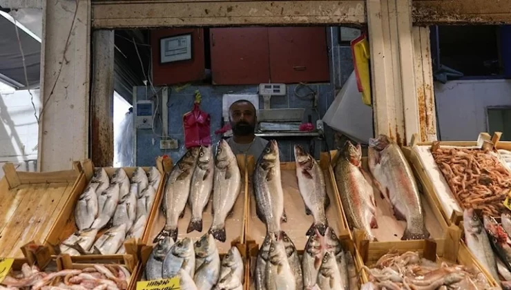 Balık Fiyatları…