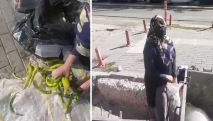 Tarım Kredi’nin Çöpünden Sebze Toplayan Yurttaş: Erdoğan Utansın…