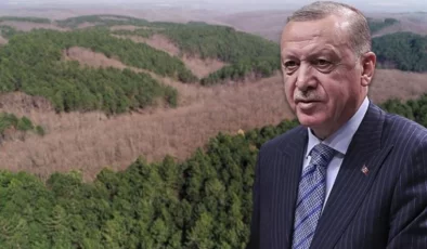 Erdoğan İmzaladı, 11 İlde Bazı Alanlar Orman Sınırı Dışına Çıktı…