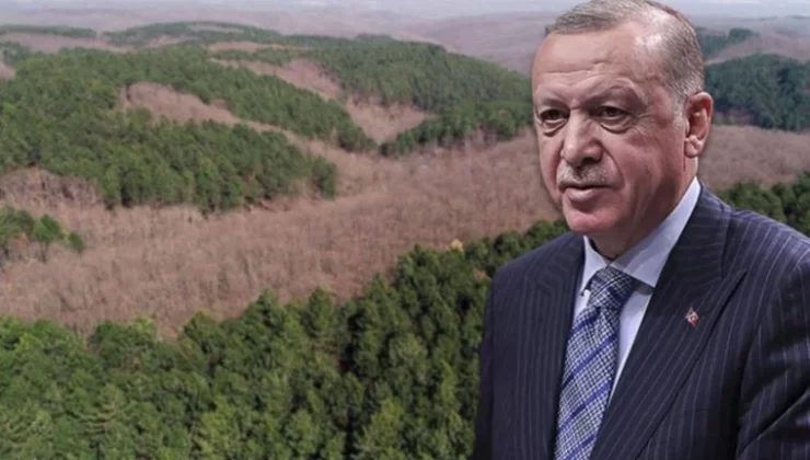 Erdoğan İmzaladı, 11 İlde Bazı Alanlar Orman Sınırı Dışına Çıktı…