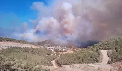 Mersin’deki Yangın Nükleer Santrala Ulaştı,30 Ev Boşaltıldı…