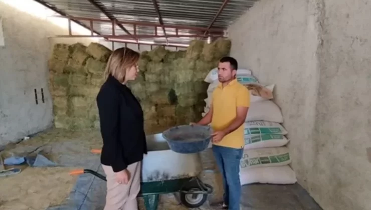 DP’den Suçüstü: Suriyelilere Verilen Ücretsiz Bebek Mamaları Bakın Nereden Çıktı…