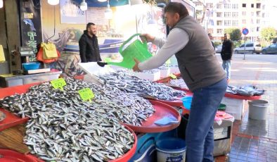 İstavrit Geri Döndü…