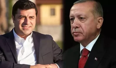 Demirtaş: Kuyruğuna Basılmış Kedi Gibi Miyavlayıp Duruyor…