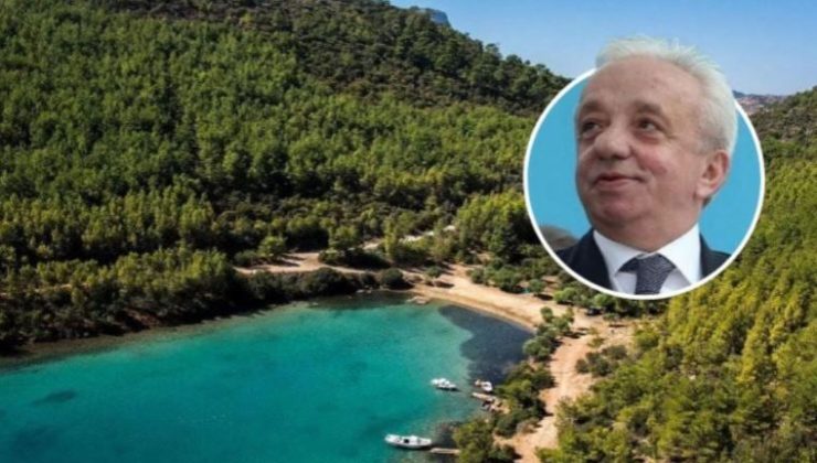 Bodrum’da Çevre Katliamına Devam…