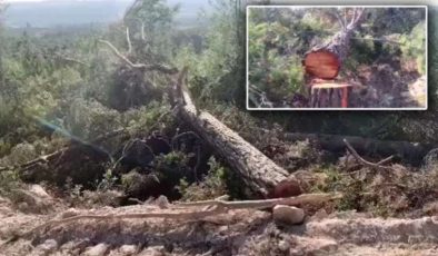 Akbelen’de Vahşet: Çocuk İşçi Öldü…