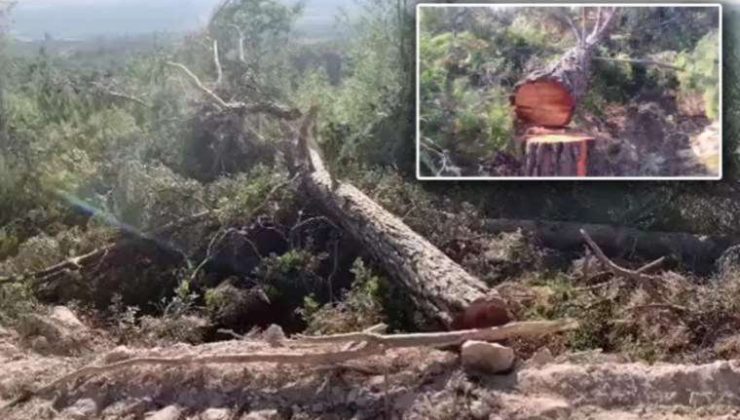 Akbelen’de Vahşet: Çocuk İşçi Öldü…