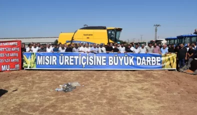 Mısır Üreticisi Çiftçiler İsyan Etti…