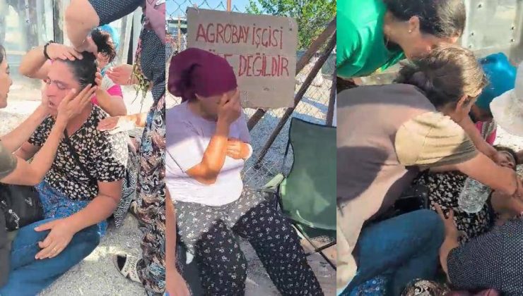 Direnen Agrobay İşçileri Yerlerde Sürüklendi…