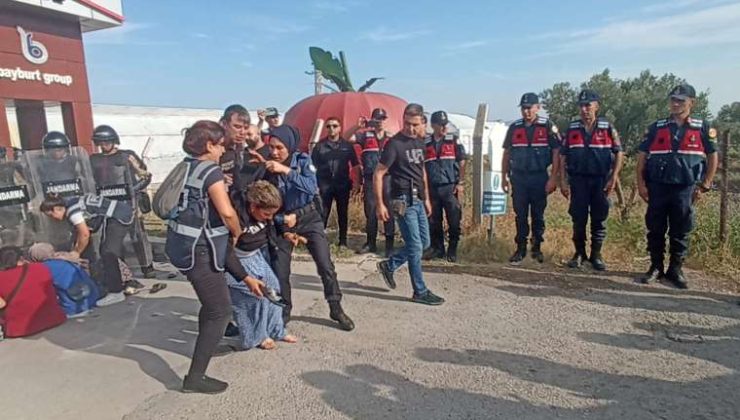 Sendikal Hakları İçin Direnen Tarım İşçilerine Çok Sert müdahale…