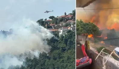 Maltepe’de Ormanlık Alanda Yangın: Alevler Evlere Yaklaştı…