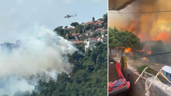 Maltepe’de Ormanlık Alanda Yangın: Alevler Evlere Yaklaştı…