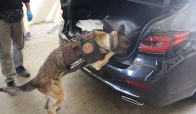 Kapıkule’de Büyükelçilik Aracında 54 Kilo 912 Gram Kokain Yakalandı…