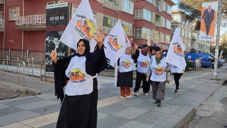 Tarım-Sen: Agrobay İşçileri İlk Kazanımını Elde Etti…