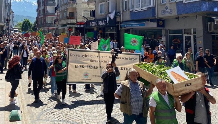 Erdoğan’ın Kalesi Rize’de Çay Alım Fiyatına Tabutlu Protesto…
