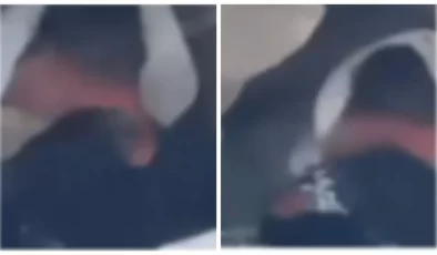 Mersin’de Tavuğa Tecavüz Ederken Suçüstü Görüntülendi…