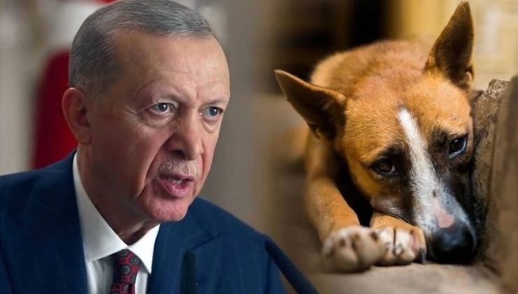 Erdoğan’ı Tarihe Köpekleri Öldüren Lider Olarak mı Geçirmeye Çalışıyorsunuz?