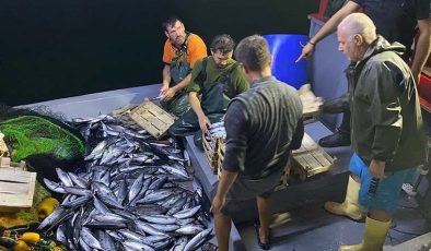 Sezonun İlk Balıkları Satılmaya Başladı…