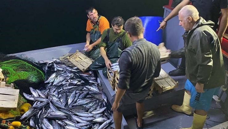 Sezonun İlk Balıkları Satılmaya Başladı…