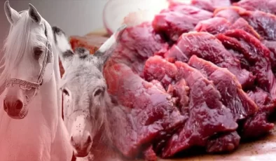 En Çok At ve Eşek Etini Adana ve Sakarya Yiyor…