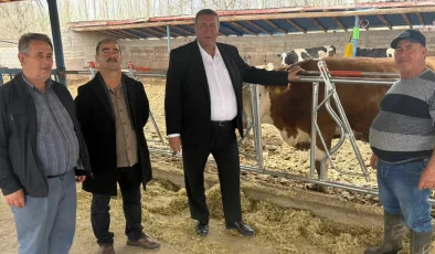 Ömer Fethi Gürer: Bir İki Yıl Daha Ayakta Kalabileceğimiz Şüpheli…